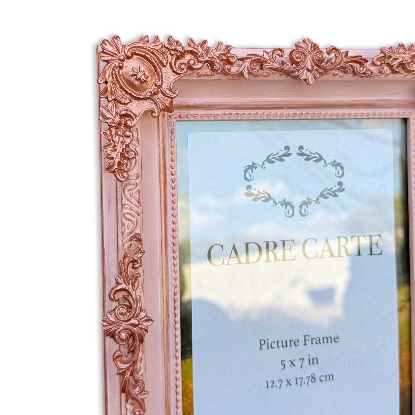 Baroque 5x7 Ornate Picture Frame Handpainted Light Pink with Rose Gold Filigree