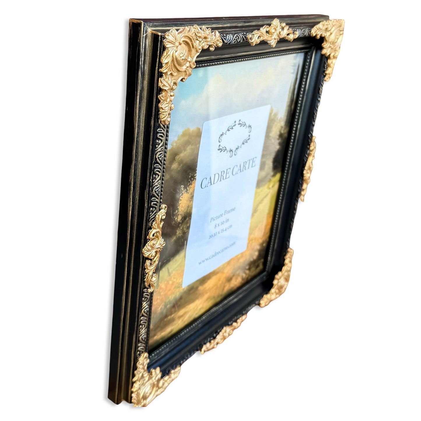 Baroque 8x10 Picture Frame: Hand-Painted Black & Gold, Resin Filigree