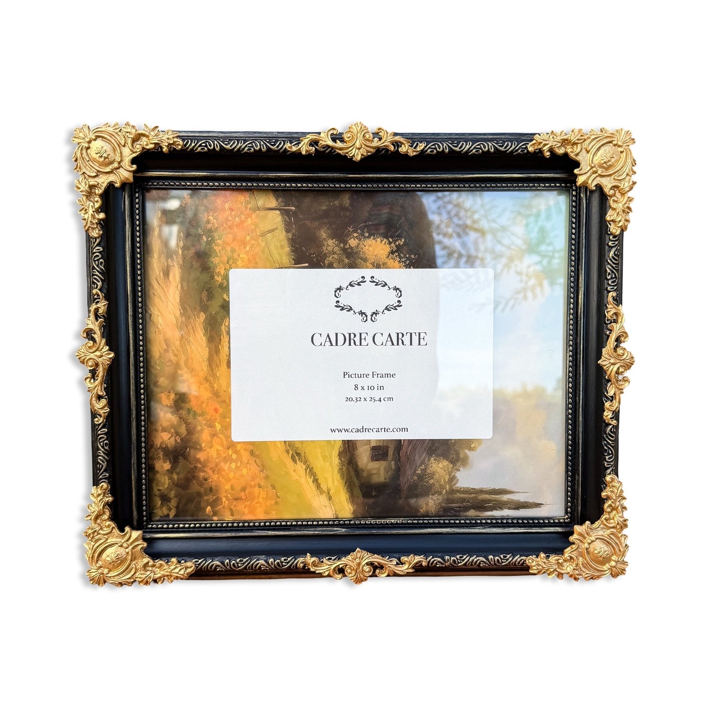 Baroque 8x10 Picture Frame: Hand-Painted Black & Gold, Resin Filigree