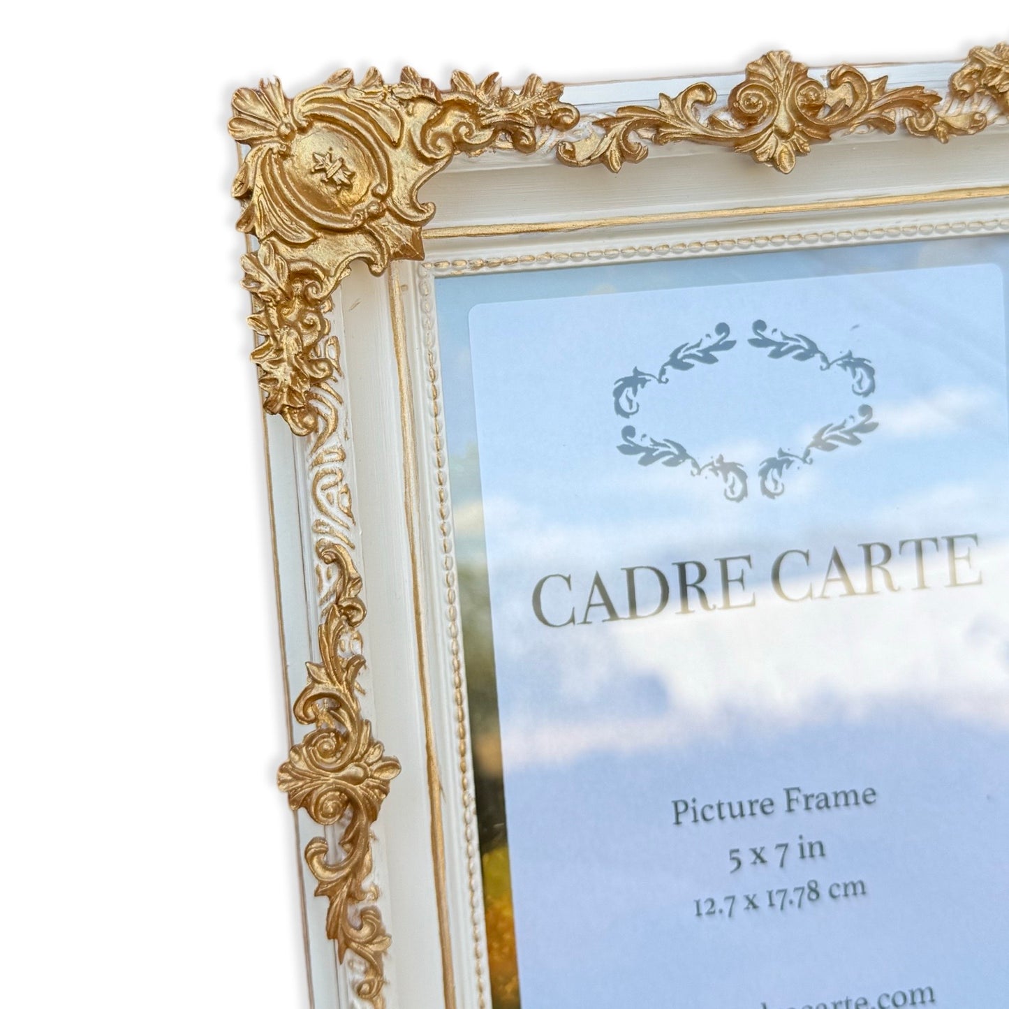 Baroque 5x7 Ornate Picture Frame Handpainted Antique White with Gold Filigree