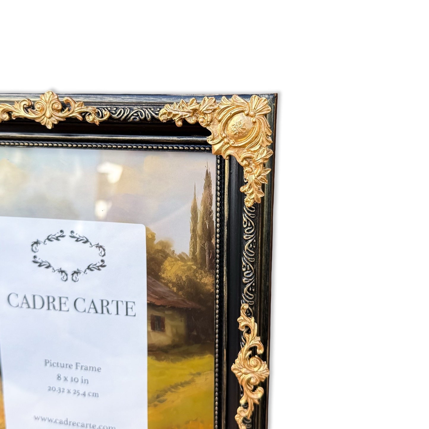 Baroque 8x10 Picture Frame: Hand-Painted Black & Gold, Resin Filigree