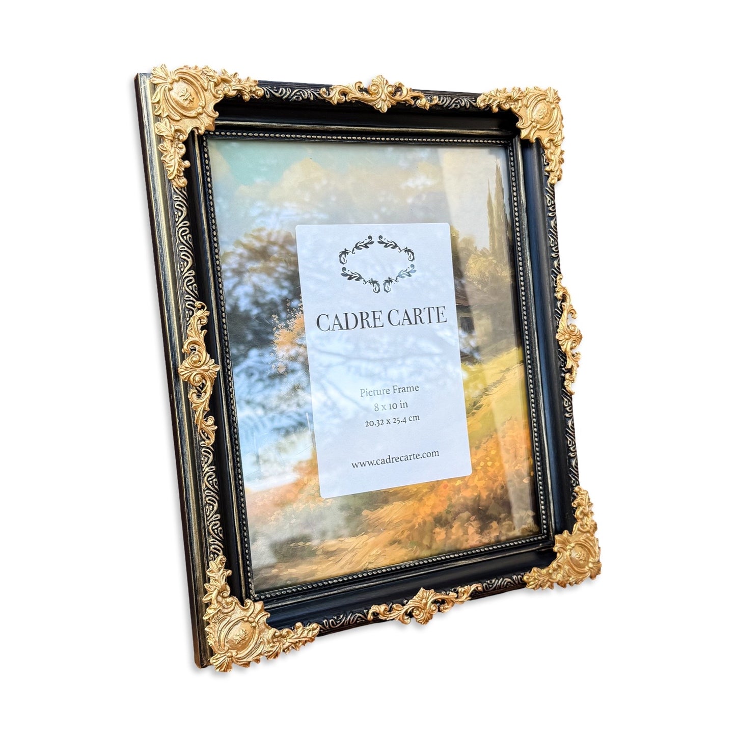 Baroque 8x10 Picture Frame: Hand-Painted Black & Gold, Resin Filigree